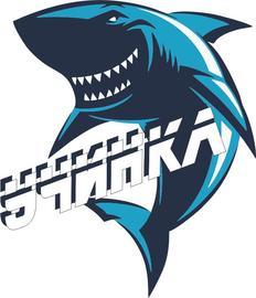 Спортивный клуб "Учинка"