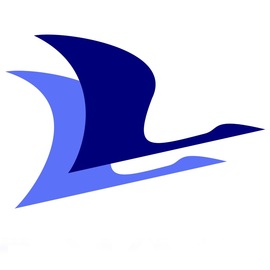 Синие Журавли