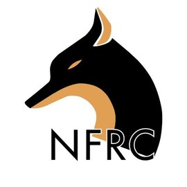 Naughty Foxes Run Club