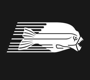 PIRANHA RUNNING CLUB