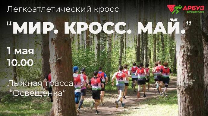 Preview 05ca3f41 e461 4709 910d 426492d69682