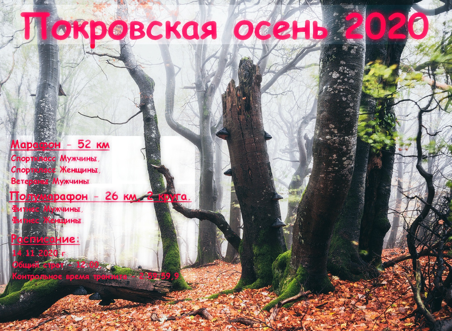 Веломарафон "Покровская осень 2020". Закрытие велосезона.