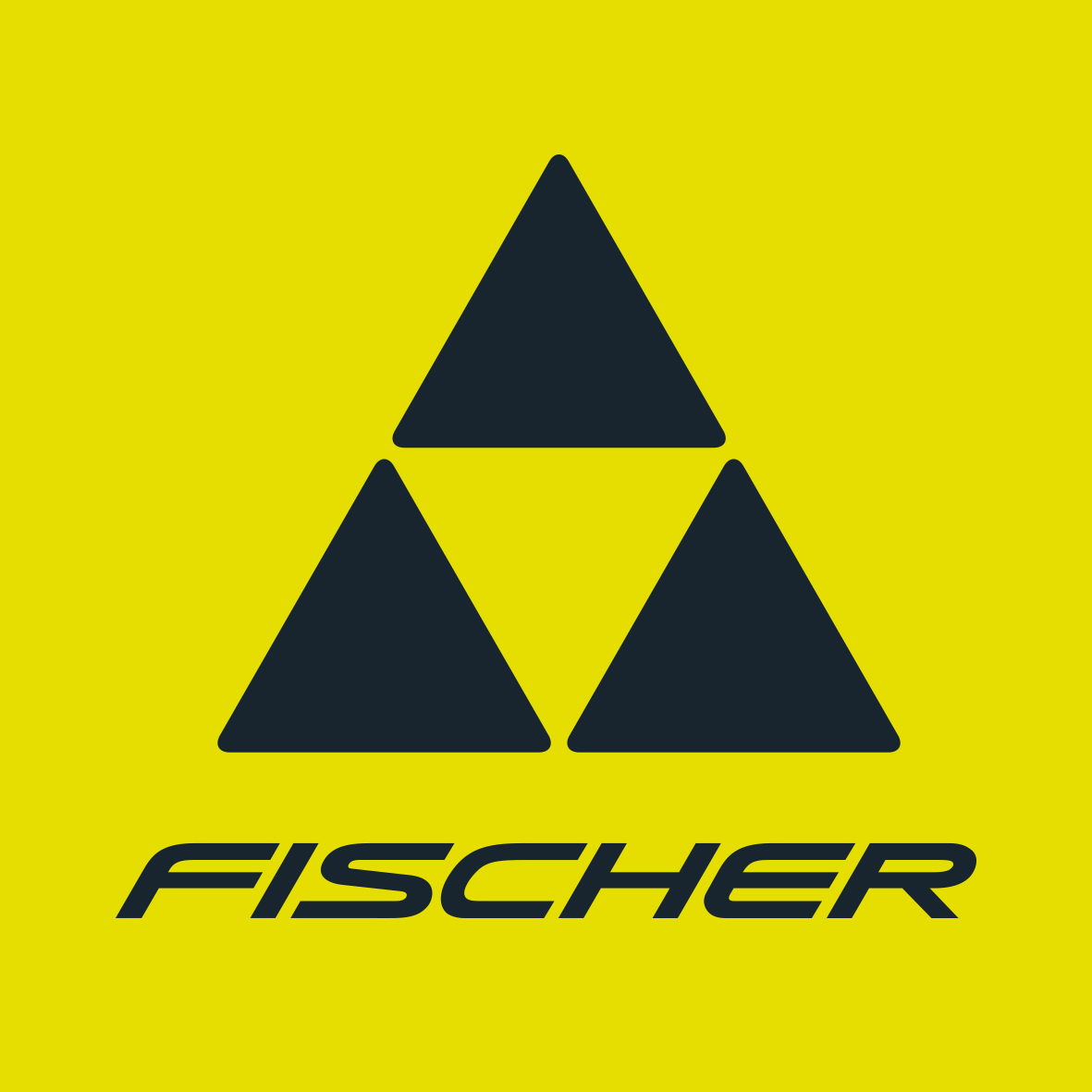 FISCHER Skiletics на Воробьёвых Горах (25.07)