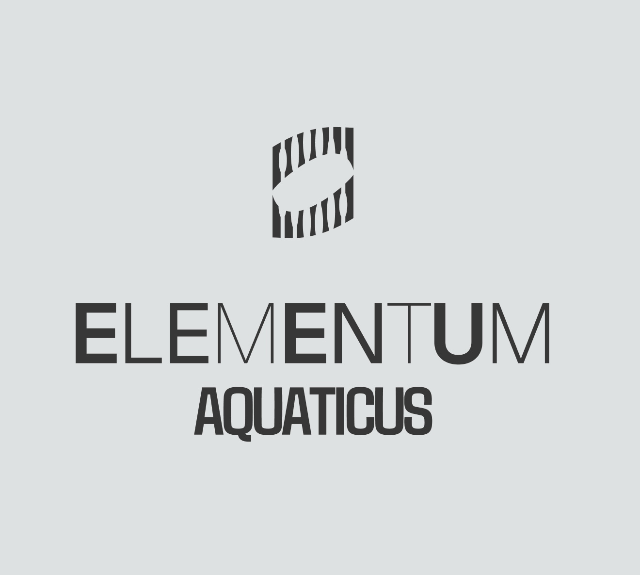 Пробная тренировка по плаванию для взрослых в Лужниках