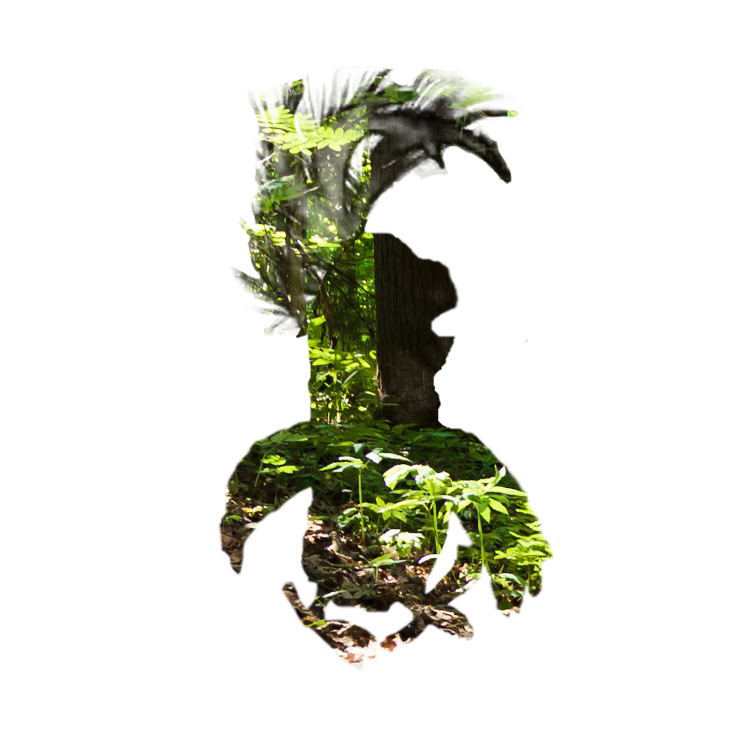 38 Попугаев!