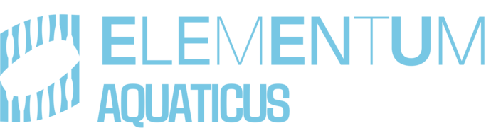 Пробная тренировка по плаванию для взрослых в Лужниках