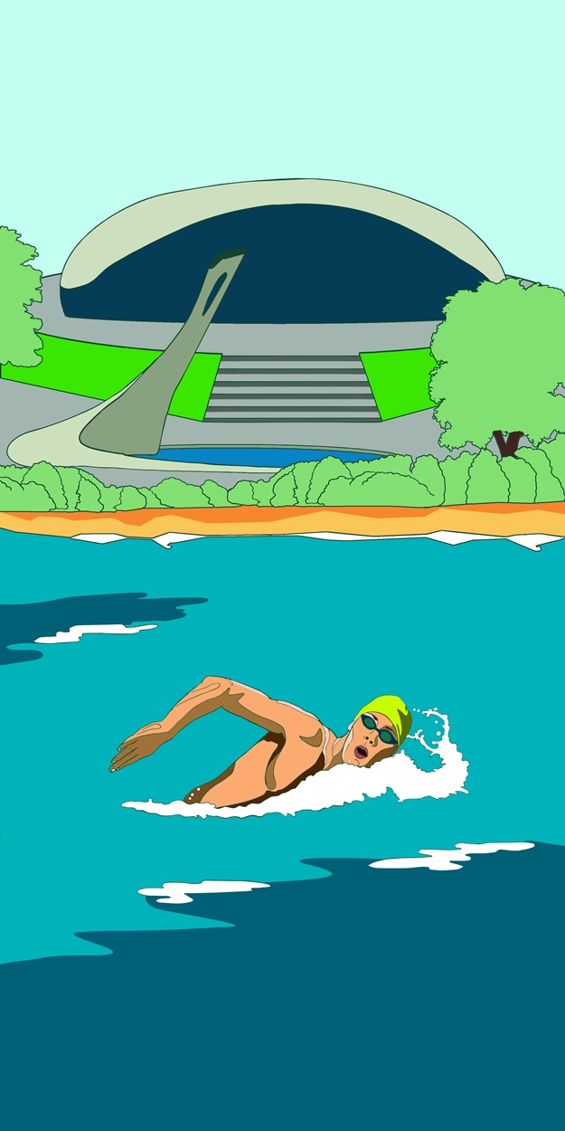 TYR Кубок Чемпионов Летняя Серия 3-й этап 2017 Сочи