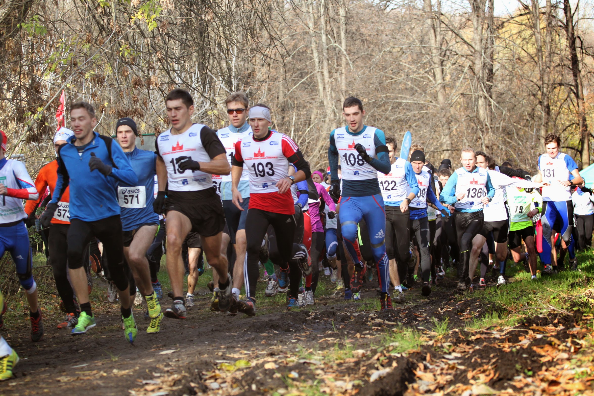 Кросс лыжников МГУ памяти А.А.Карпова