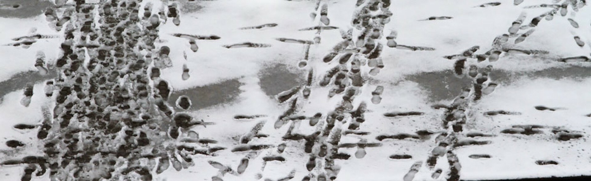 ZELRUN 5K winter edition