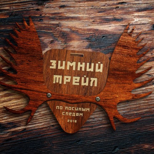 Зимний трейл "По лосиным следам"