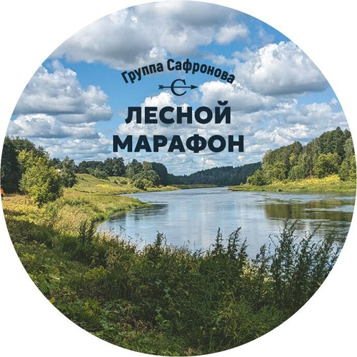 Логотип партнёра