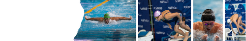 Swimcup Sprint Декабрь