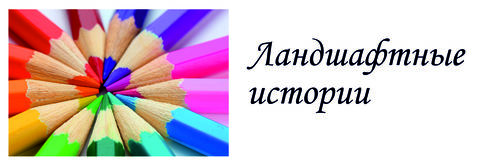 Логотип партнёра