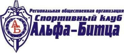 Логотип партнёра