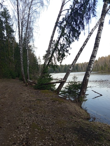 Sergiev Trail "Чистый трейл ОНЛАЙН" 2025