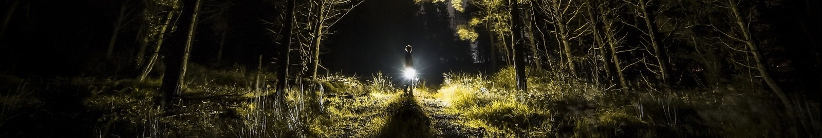 Sergiev Trail "Сказка на ночь" 2024