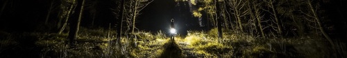 Sergiev Trail "Сказка на ночь" 2024