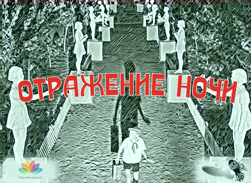 Забег "Отражение ночи" 2019