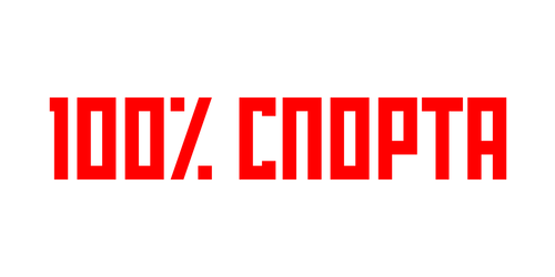 Логотип партнёра