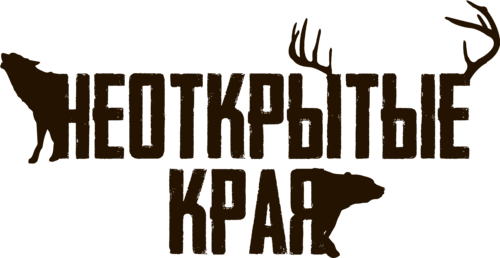Логотип партнёра