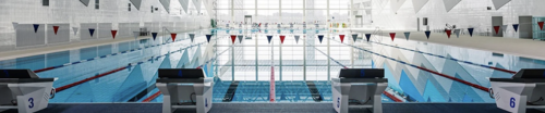 Silver Swim Cup №8 & Aqua ЦЕХ