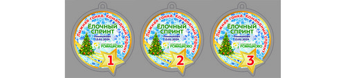 Лыжная гонка «Ёлочный спринт» в Ромашково 2024