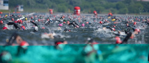 Кубок Чемпионов Open Water РУЗА 2019