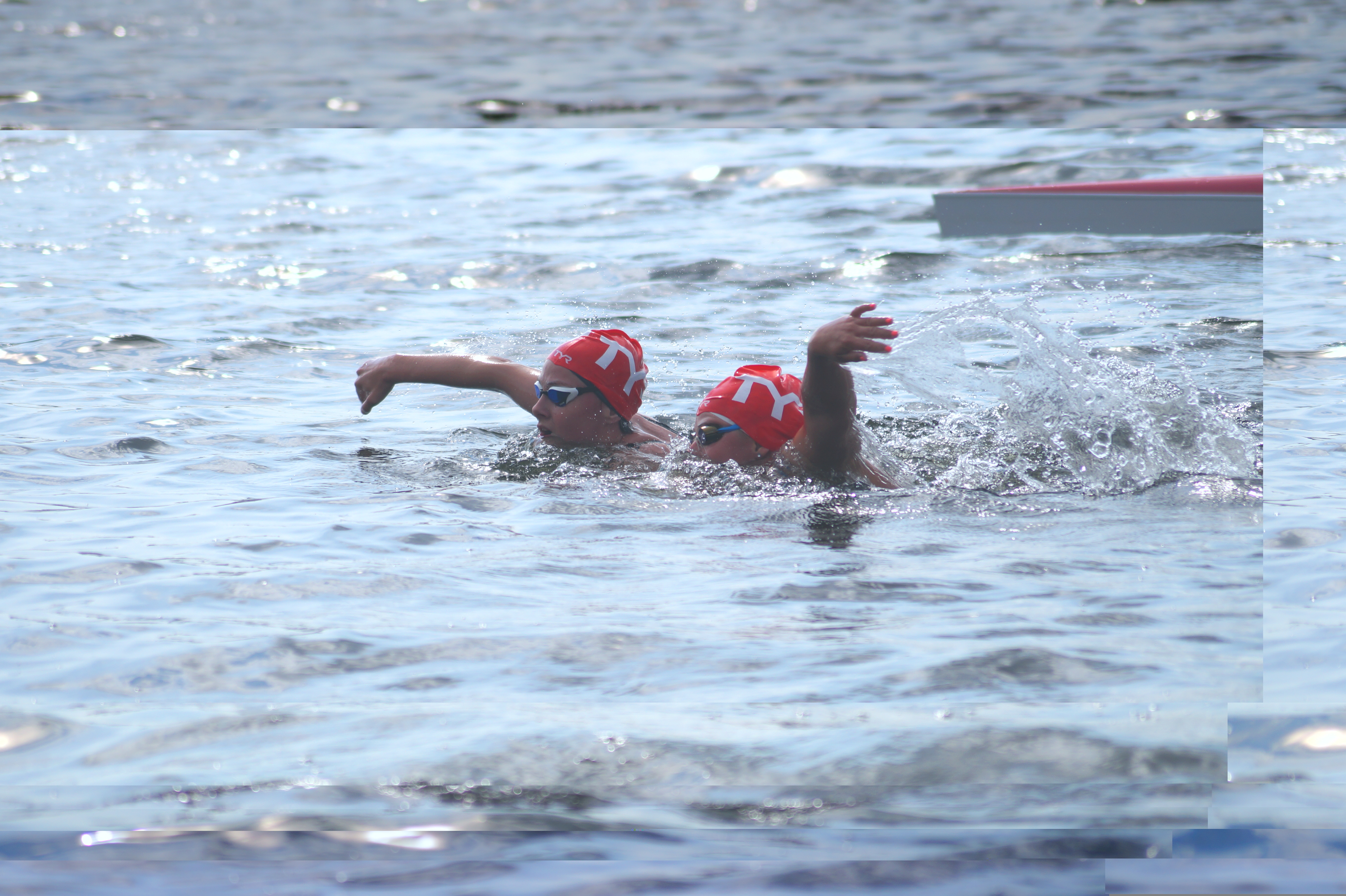 Кубок Чемпионов Open Water 2019 5-й этап Великий Новгород