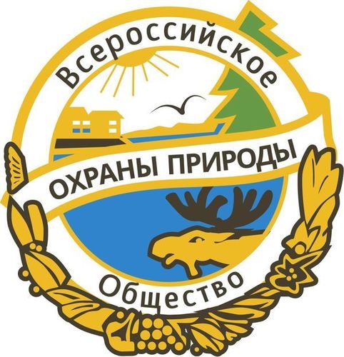 Логотип партнёра
