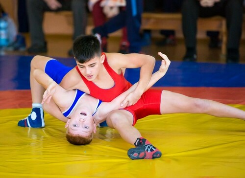 Турнир JWL (JUNIOR WRESTLING LEAGUE) 14 октября 2023 года по  детской  борьбе