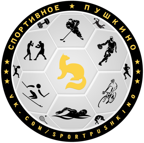 Логотип партнёра