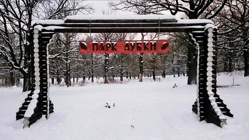 Первенство Малоярославца по лыжным гонкам "Dubki Ski Race"