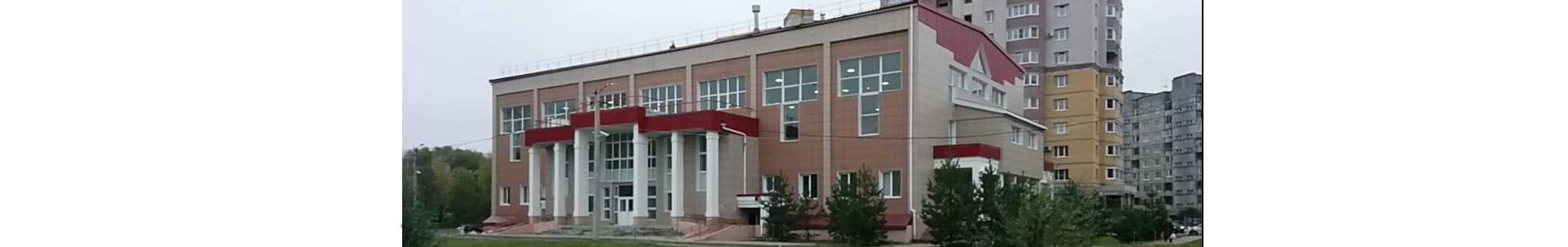 Первенство Владимирской области  по спортивной борьбе (грэпплинг, грэпплинг-ги) 2022г.