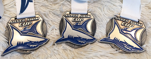Заплыв 1000м - Silver Swim Cup #3