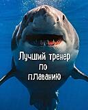 Падалец Александр Александрович